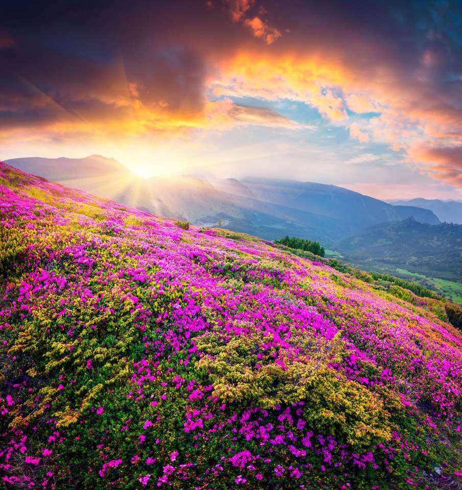 Coucher de soleil spectaculaire d'été dans les montagnes des Carpates puzzle en ligne