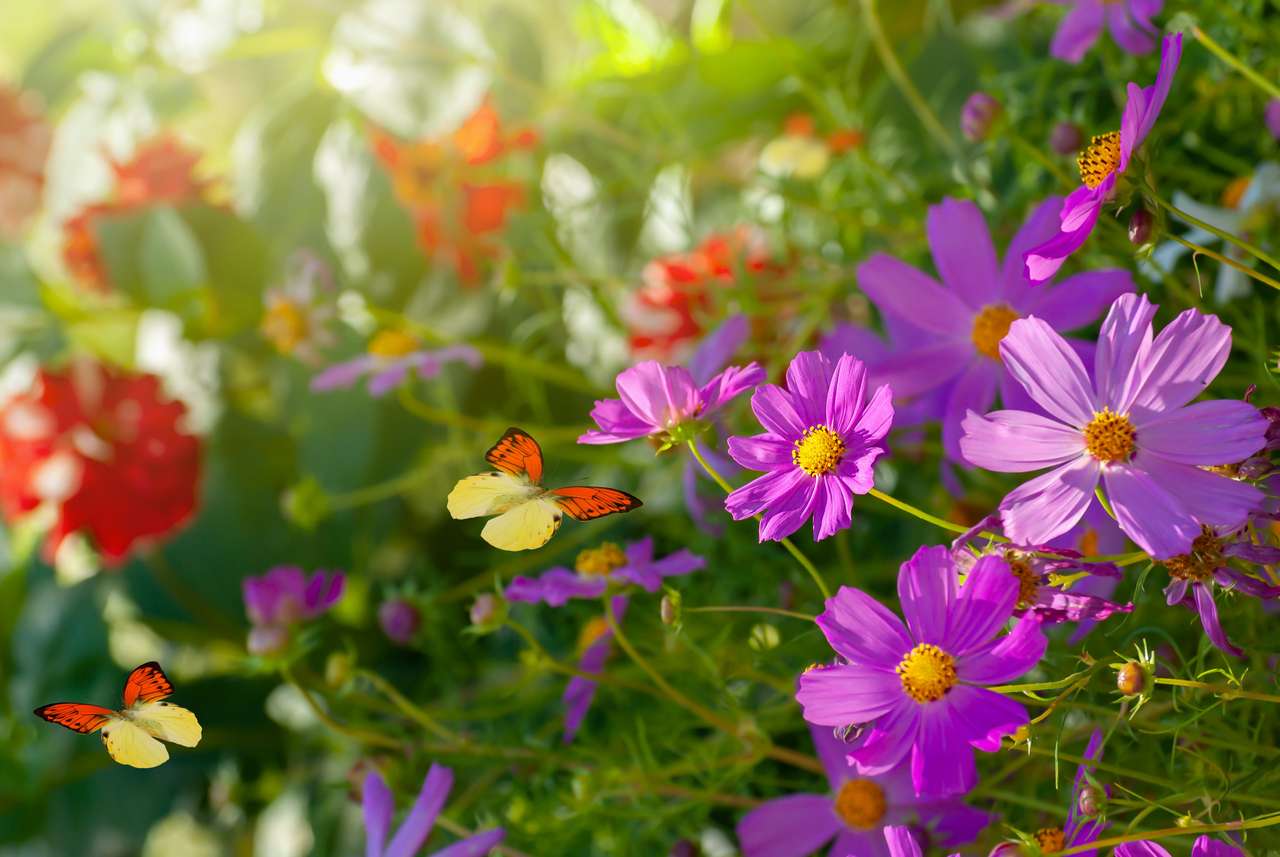 Schöne blühende Blumen Online-Puzzle