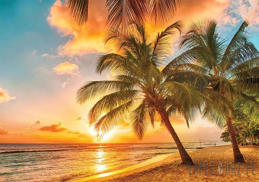 Tropická pláž při východu slunce online puzzle