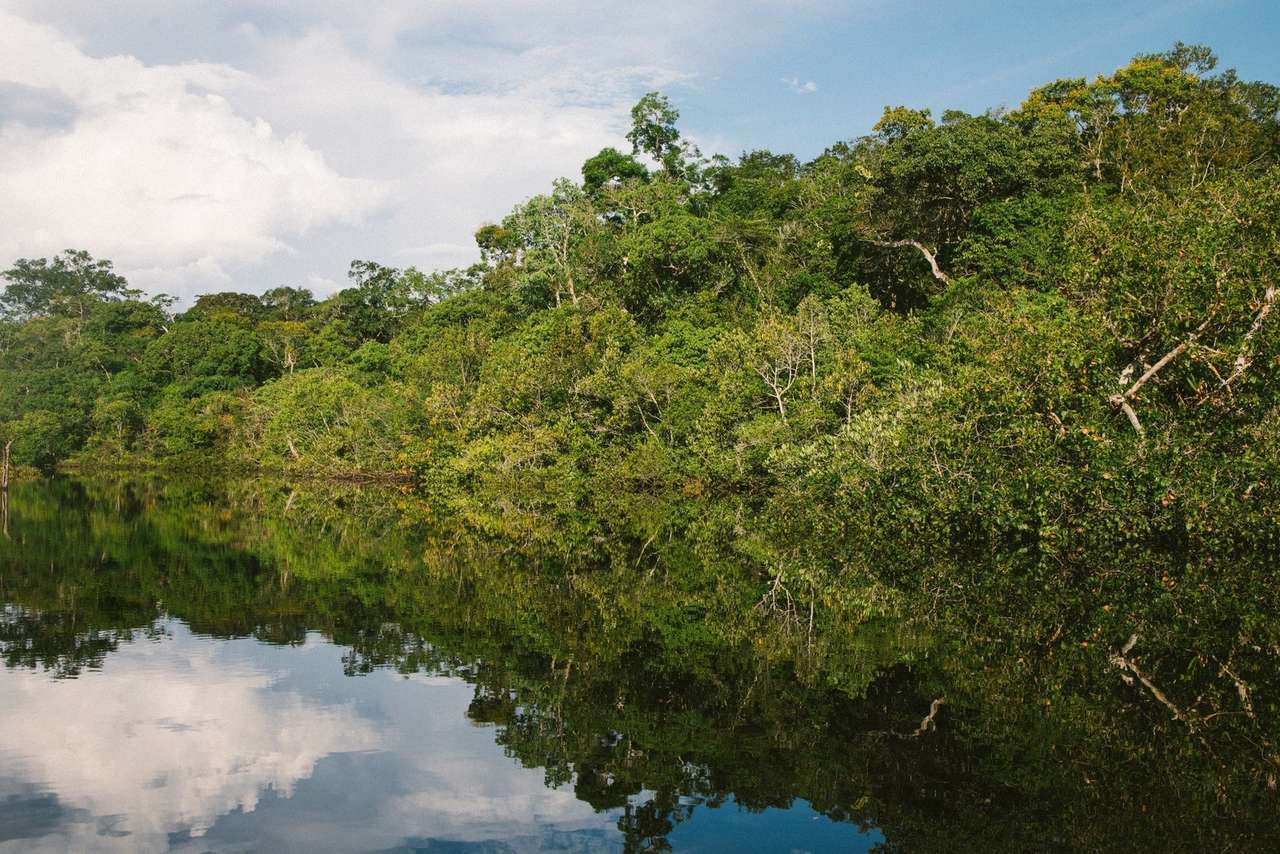 AMAZONAS水路流出 ジグソーパズルオンライン