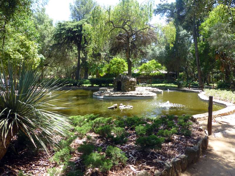 estanque y vegetación en el parque rompecabezas en línea