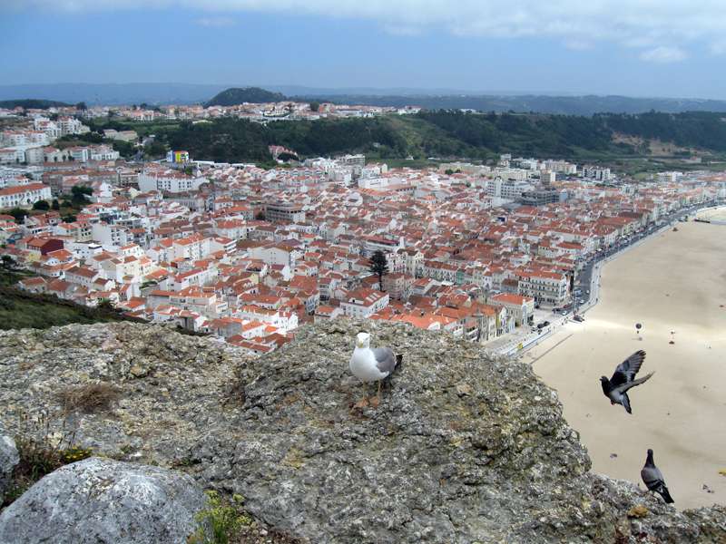 stad en strand in Portugal online puzzel