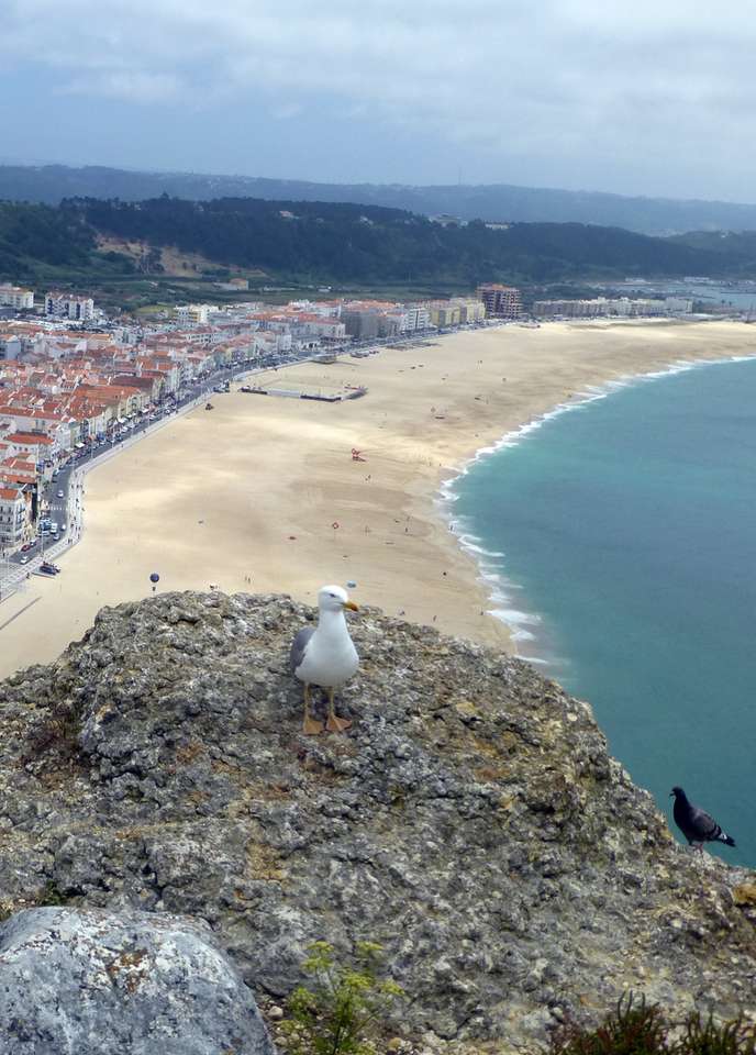 Une plage au Portugal puzzle en ligne