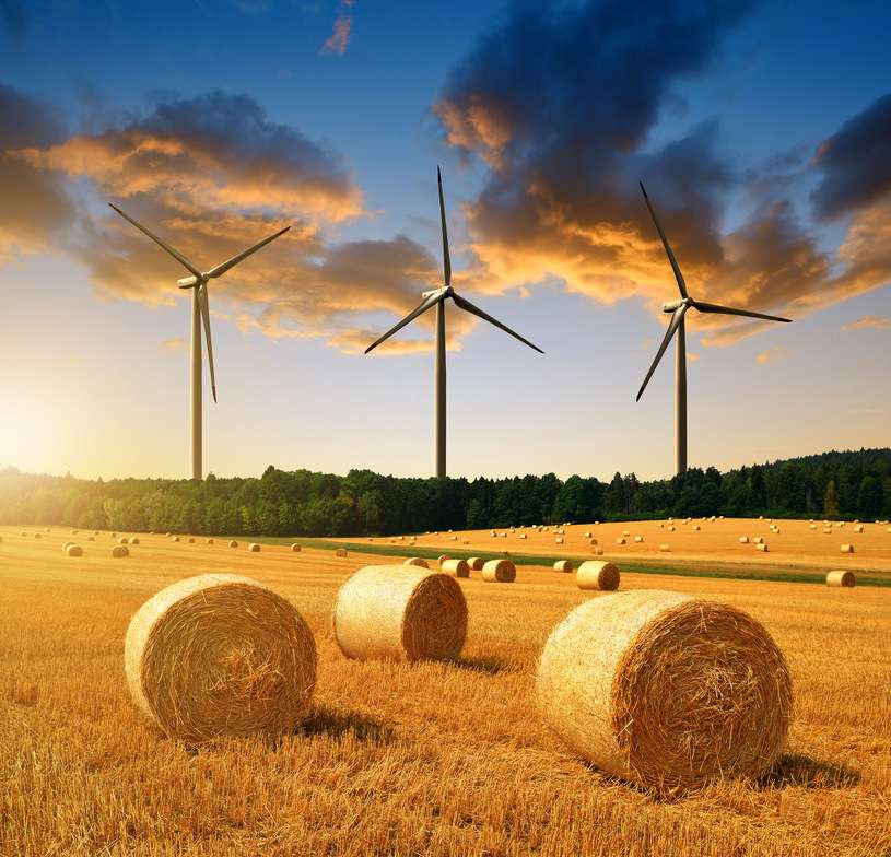Windparken in de velden online puzzel