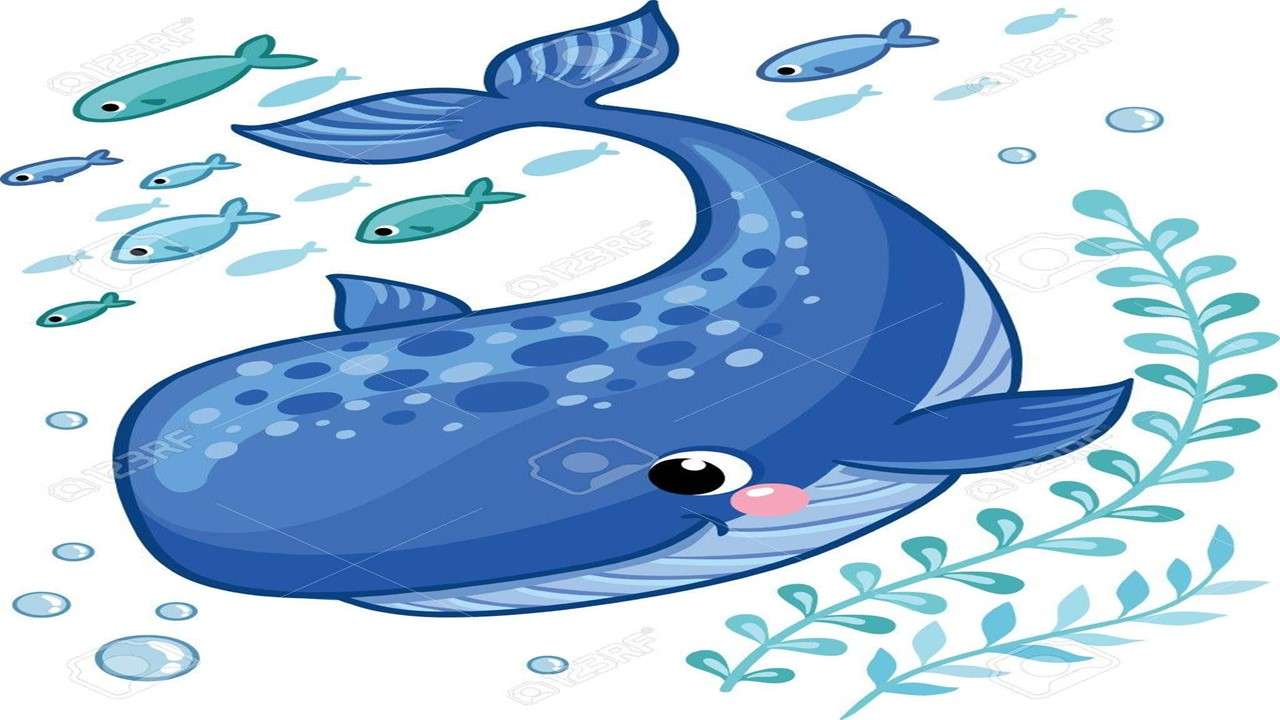 Moje modrá velryba. skládačky online