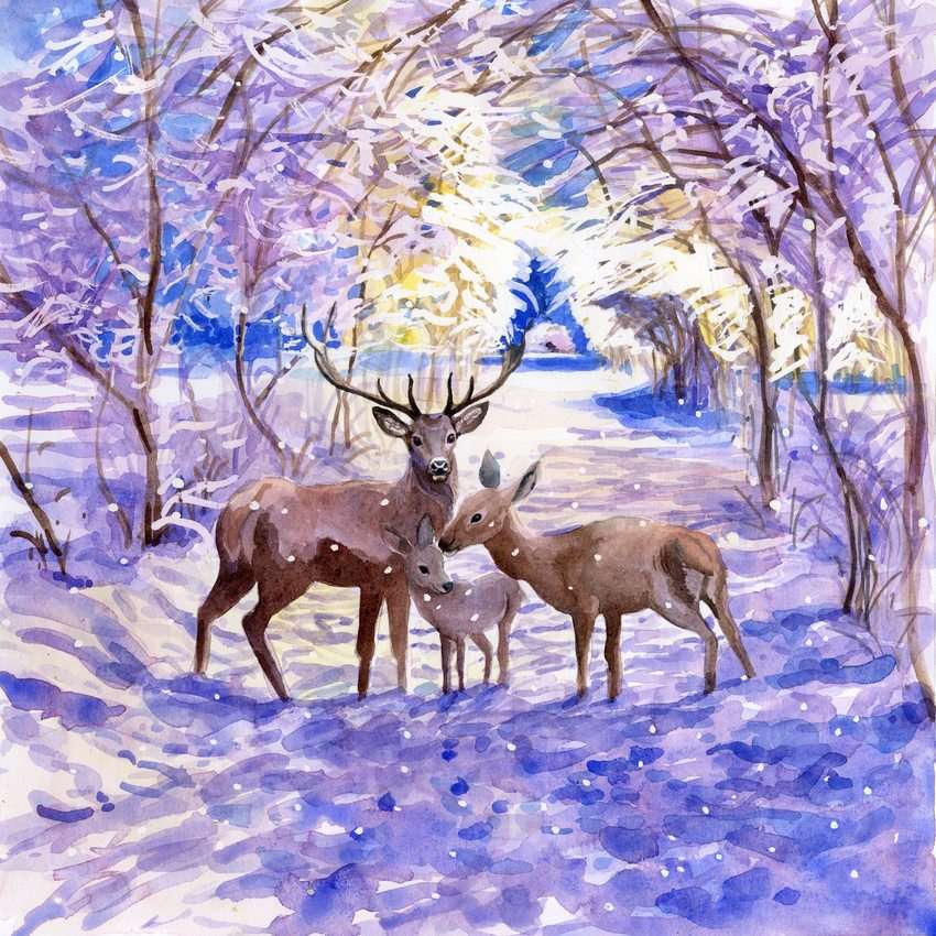 Little deer family in the snowy forest jigsaw puzzle online