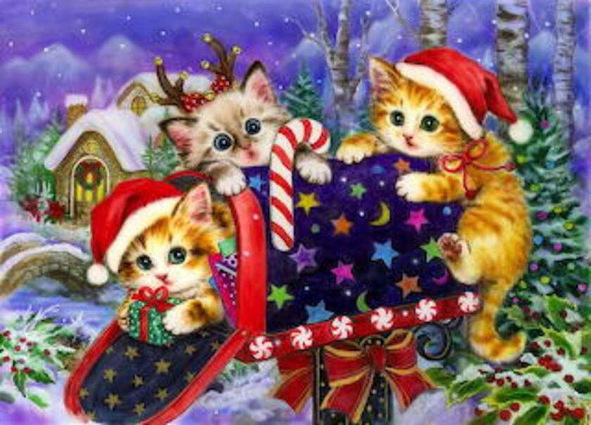 クリスマスのメールボックスの子猫 ジグソーパズルオンライン