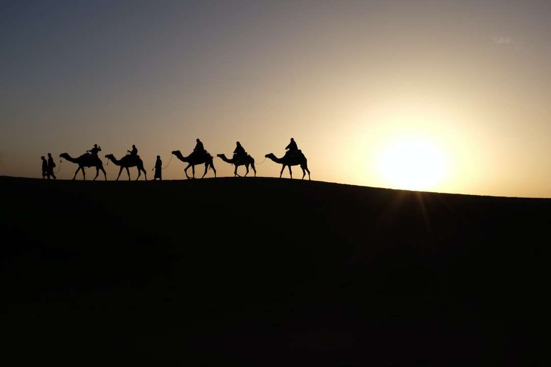 Silhouette von Menschen, die auf Kamelen reiten Puzzlespiel online