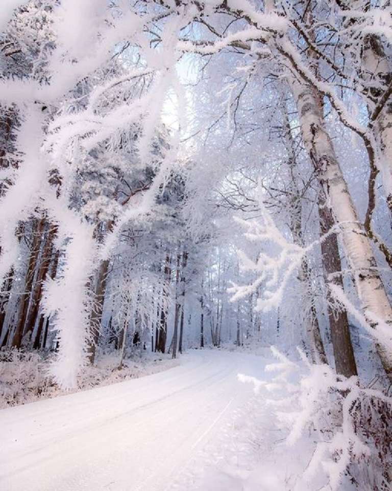 Vinter i Finland. pussel på nätet