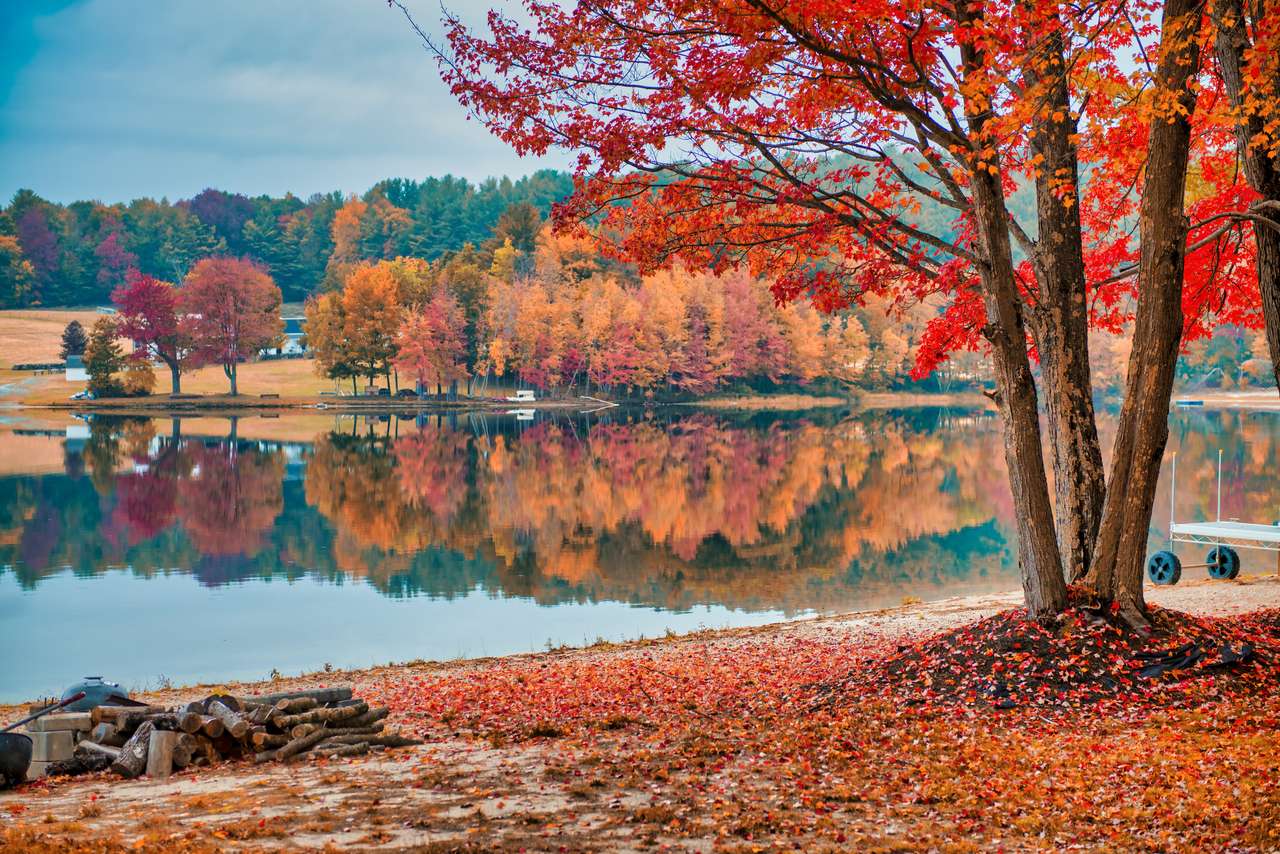 Удивительные отражения листвы на озере онлайн-пазл