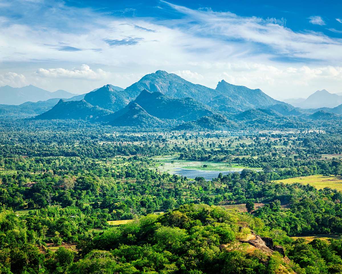 Sri Lankaans landschap - uitzicht op de Sigiriya-rots legpuzzel online