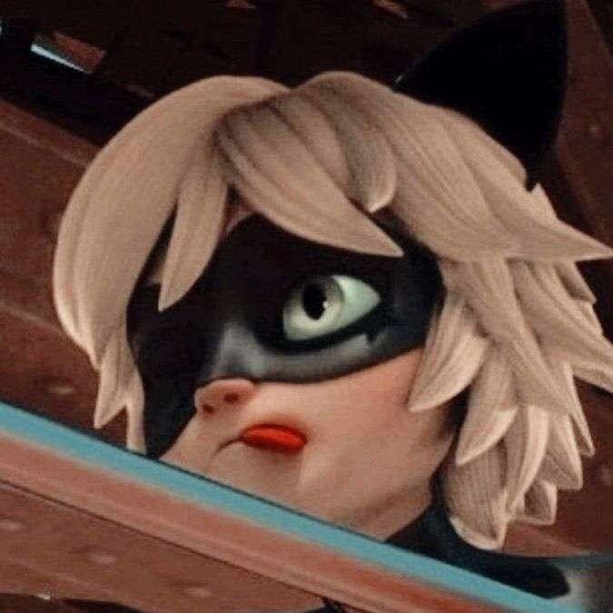 chat noir, from miraculous ladybug the adventures of online puzzle