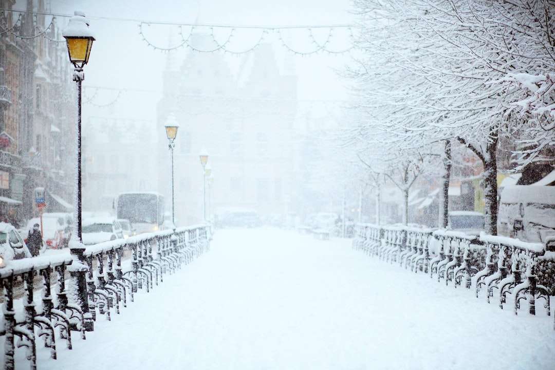 път, покрит със сняг в близост до превозно средство, пътуващо през деня онлайн пъзел