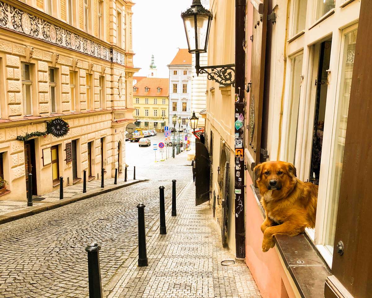 Прага - Чекан. онлайн пъзел