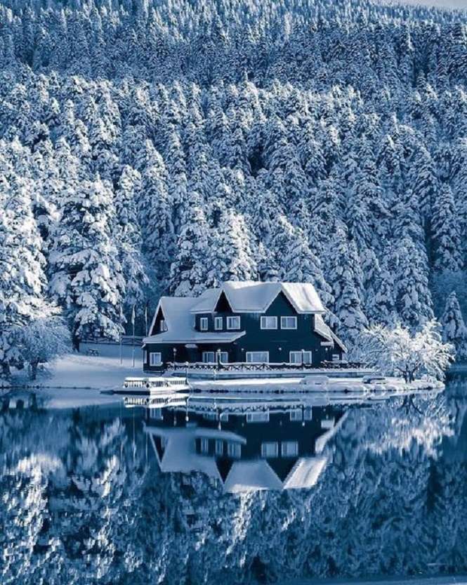 Iarna albă. puzzle online