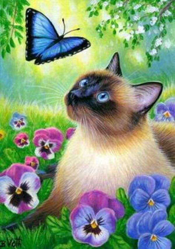 Siamesisk kattunge tittar på fjäril pussel på nätet