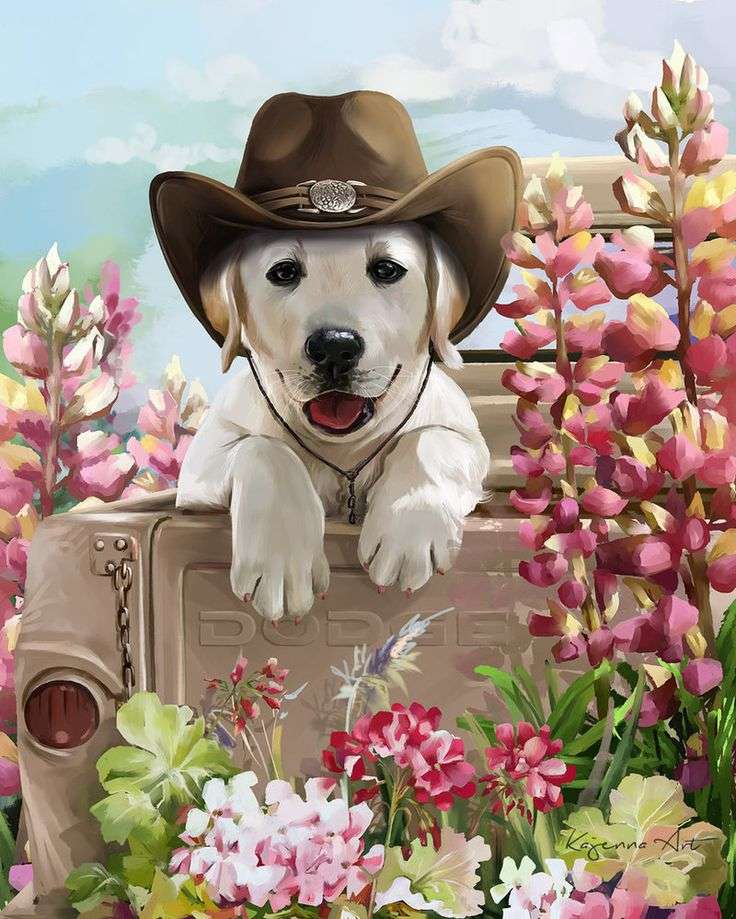 Cowboy stílusú kutyus kirakós online
