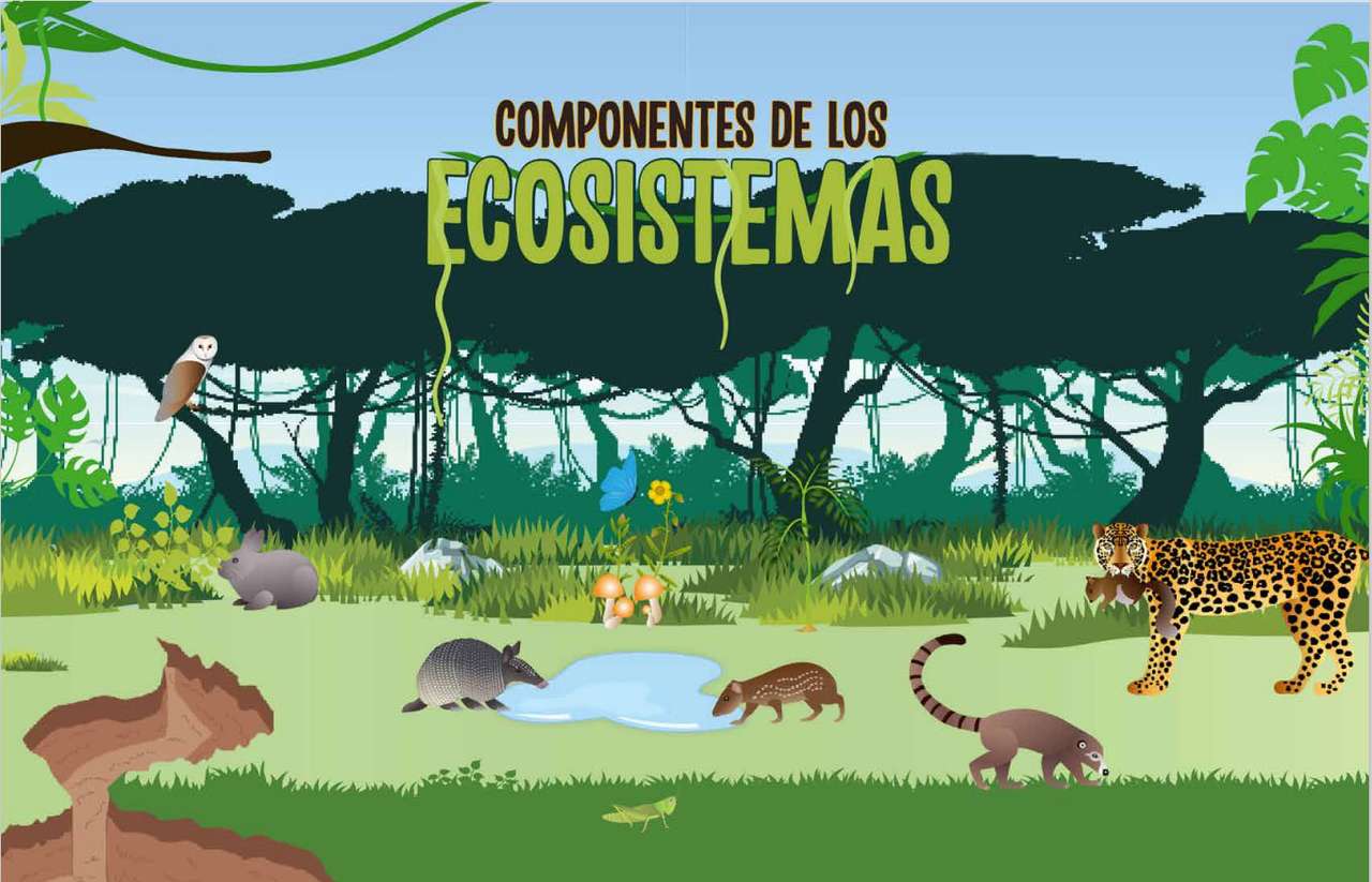 Componentes dos ecossistemas puzzle online