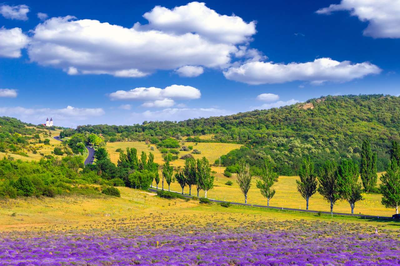Лавандулово поле през лятото в Тихани, Унгария онлайн пъзел