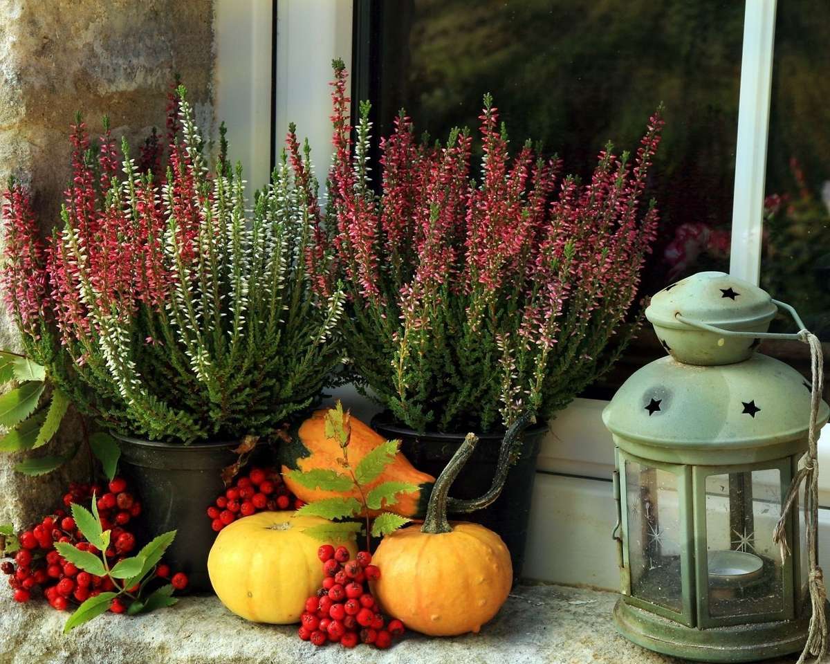 Есенна украса на перваза на прозореца онлайн пъзел