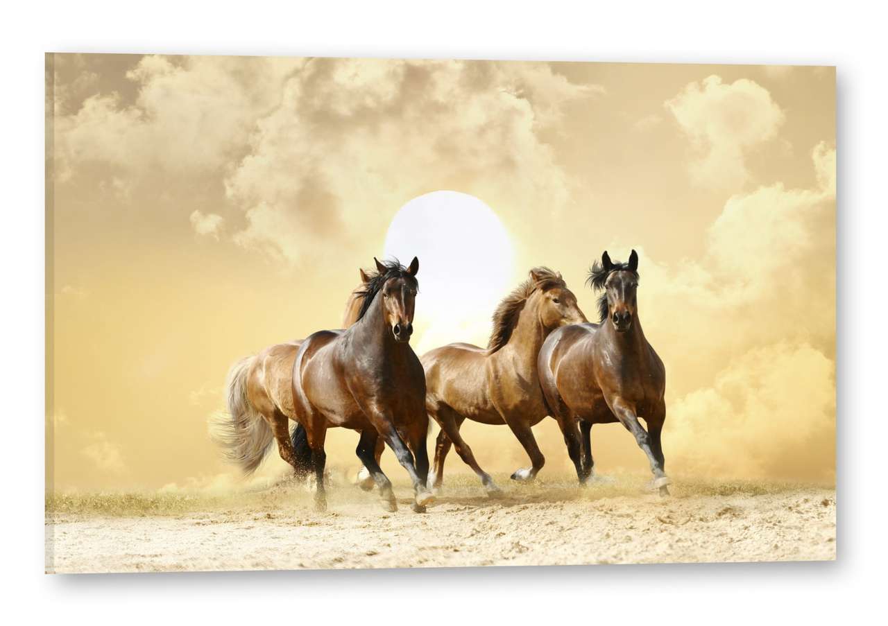 paarden op het strand legpuzzel online