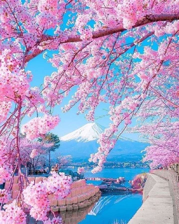 Japanse lente. legpuzzel online