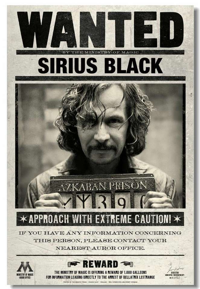 Sirius Black Puzzle Factory