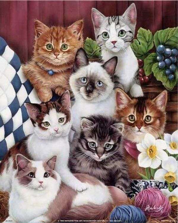 Sete gatinhos posando para foto quebra-cabeças online
