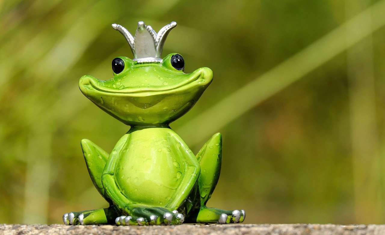принц жаба пазл онлайн
