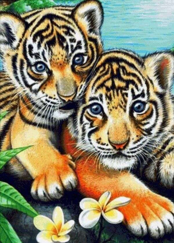Dvě malá tygří mláďata skládačka