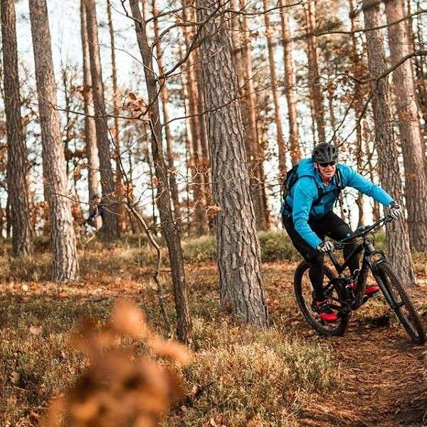 In sella a una mountain bike nel bosco puzzle online
