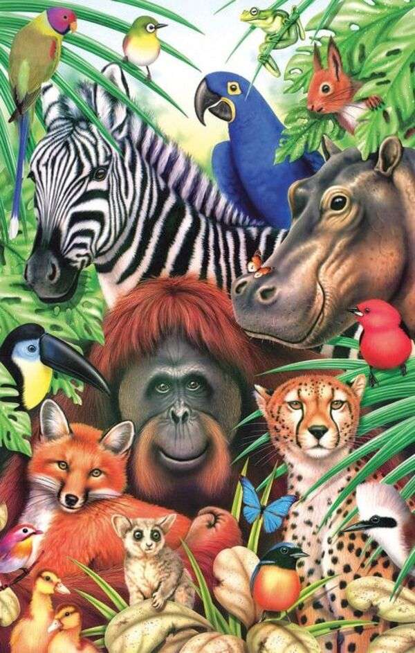 Různé druhy zvířat v džungli online puzzle