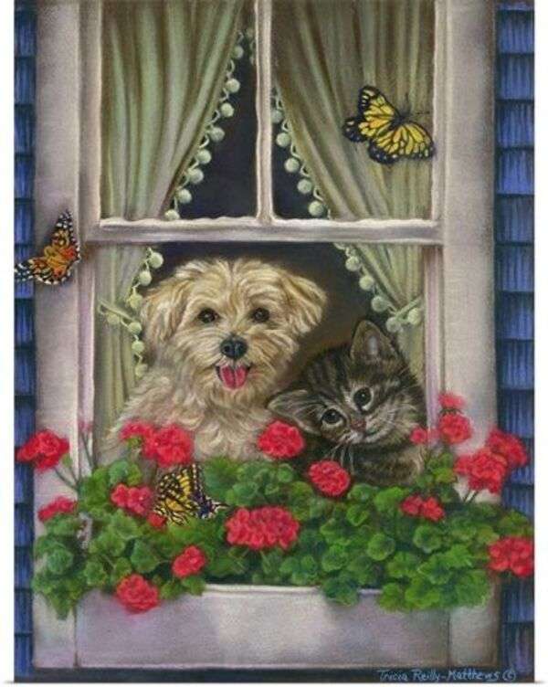 Коте и кученце гледат през прозореца онлайн пъзел