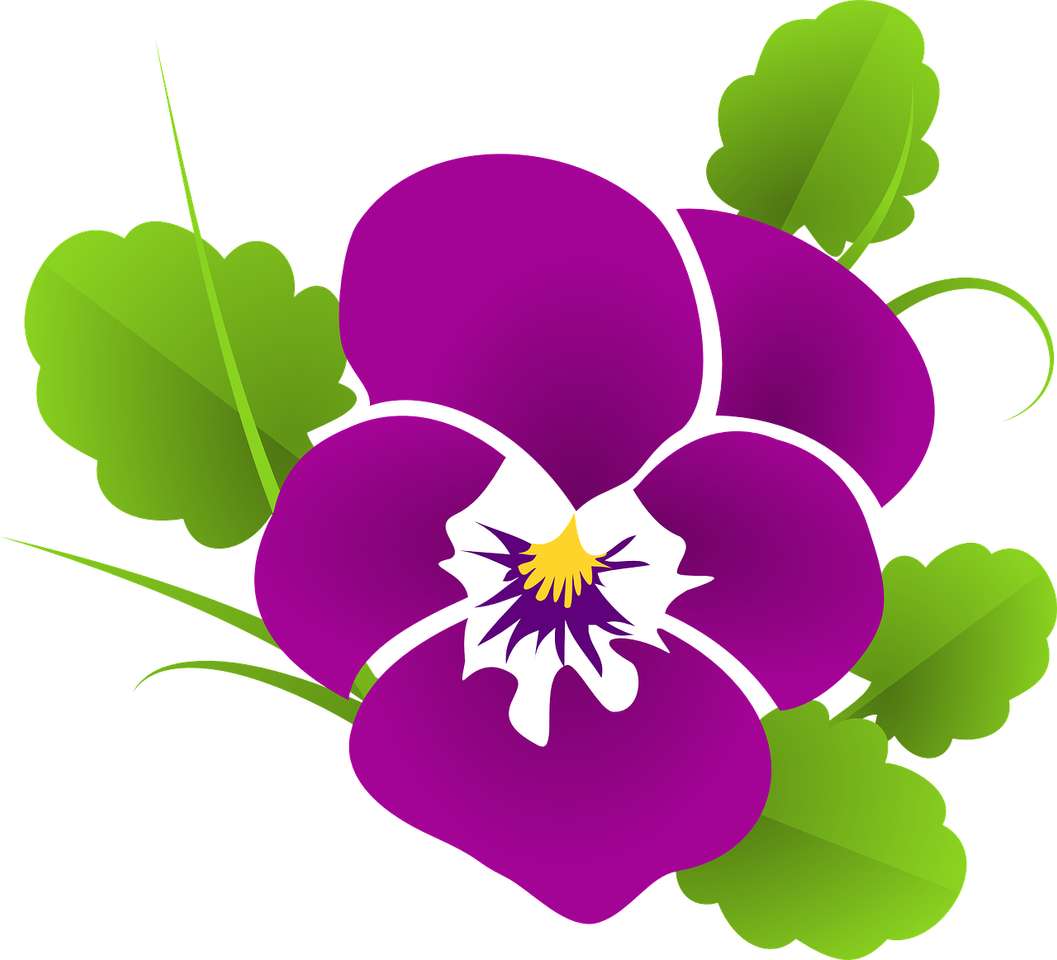 Pansy - flower jigsaw puzzle online