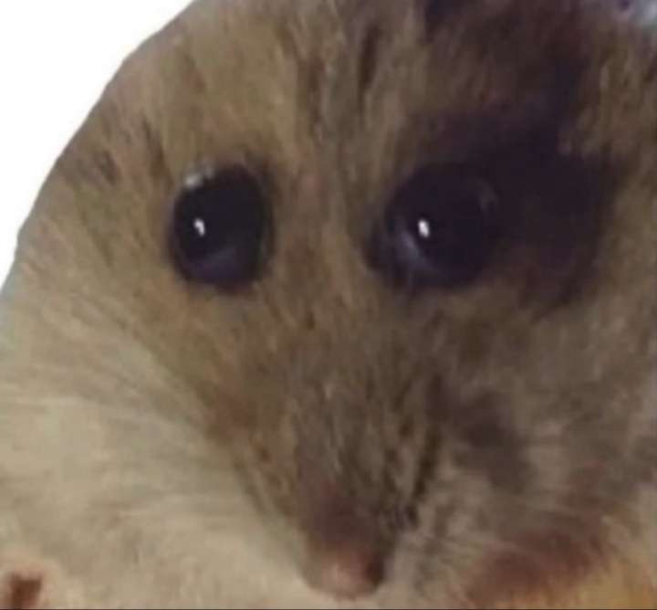 Hamster :| legpuzzel online