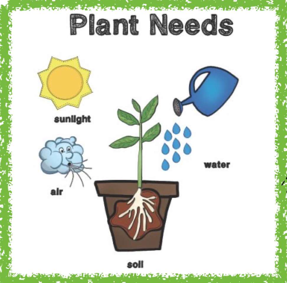 потребности растений онлайн-пазл