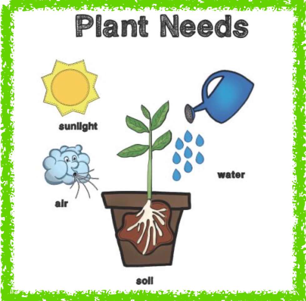 потребности растений пазл онлайн