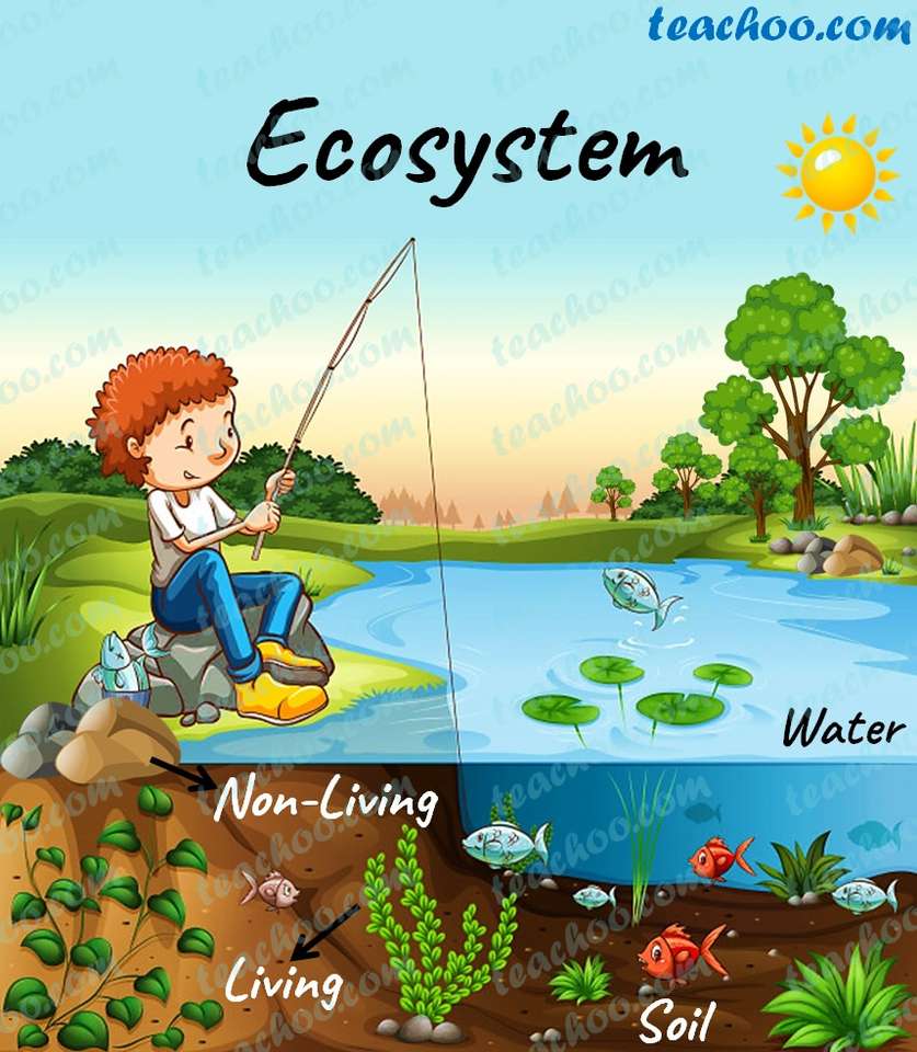 Ekosystémy skládačky online