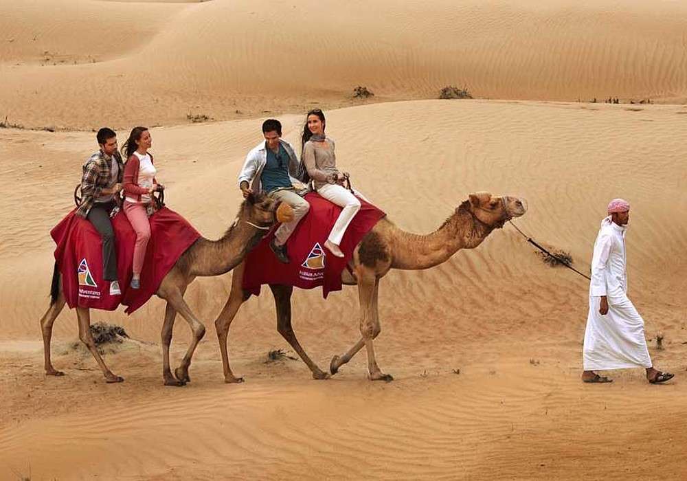 カタールの砂漠をラクダが駆け抜ける ジグソーパズルオンライン