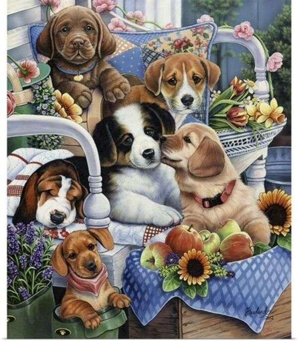 Six puppies resting on sofa jigsaw puzzle online