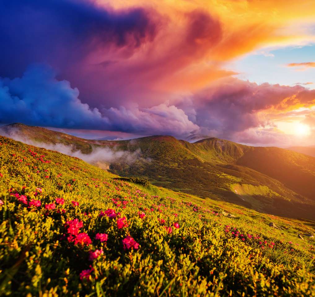 letní scéna s kvetoucími kopci ve večerních hodinách skládačky online