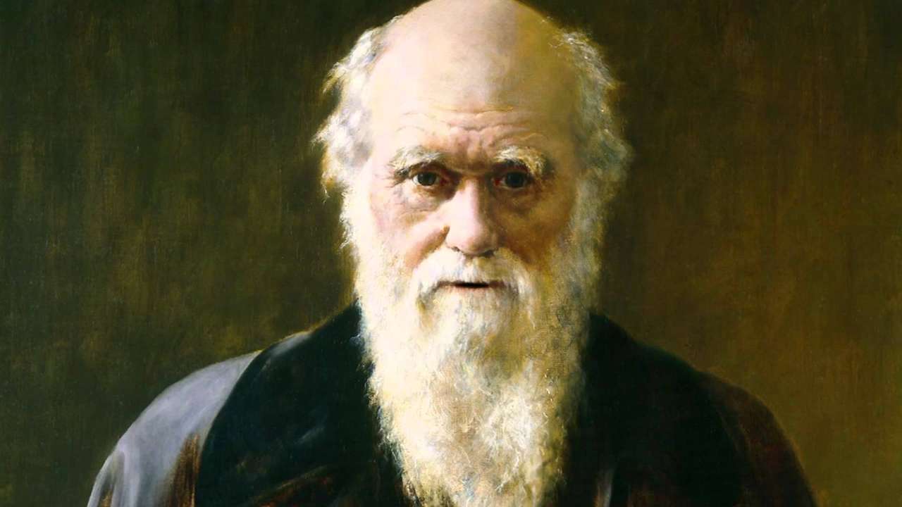 La Evolución por Darwin rompecabezas en línea