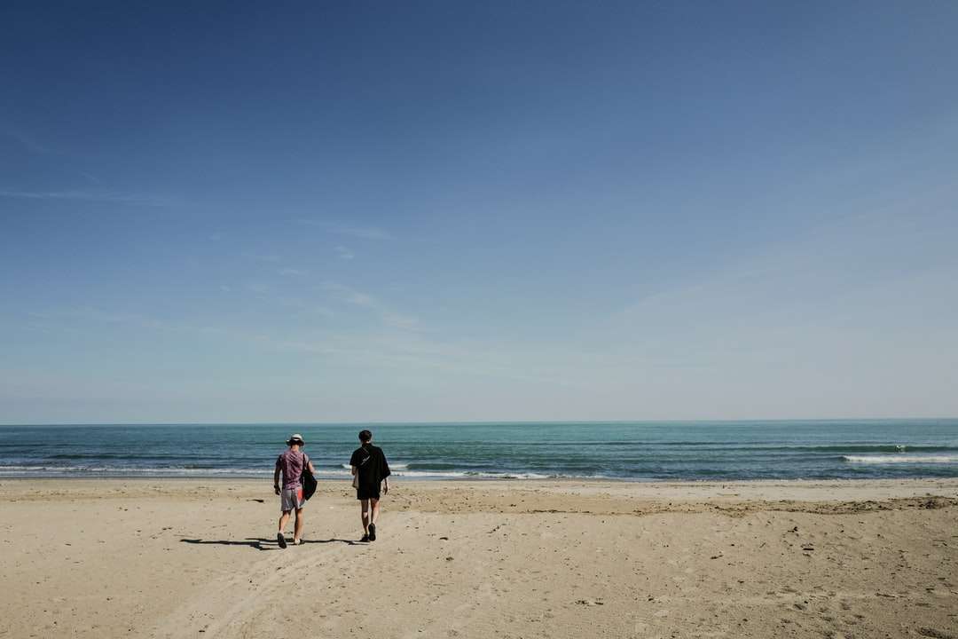 dos personas de pie cerca de la orilla del mar rompecabezas en línea