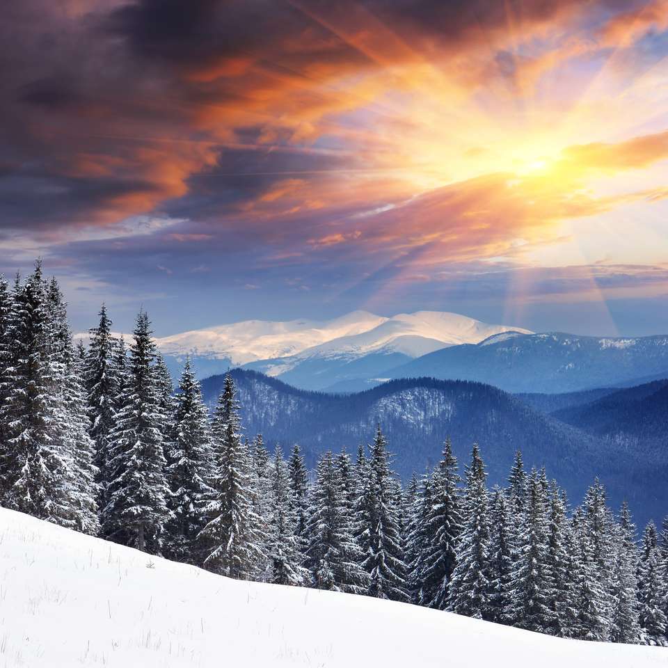 Bomen en verse sneeuw. Oekraïne, Karpaten legpuzzel online