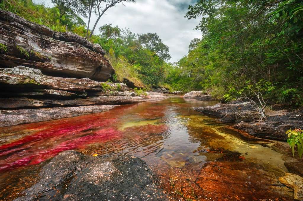 Um rio colorido. quebra-cabeças online