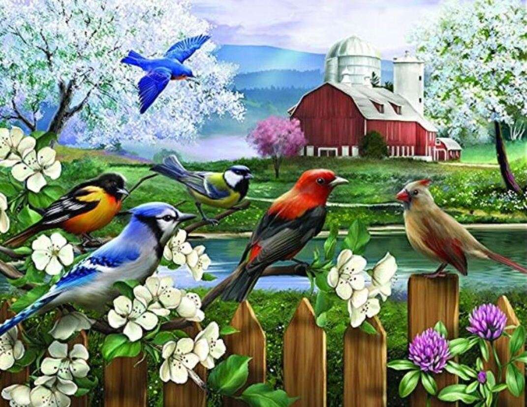 Il coro degli uccelli si riunisce per cantare puzzle online