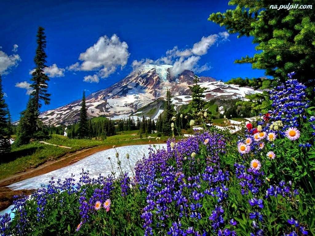 Meadow in flowers, mountain jigsaw puzzle online