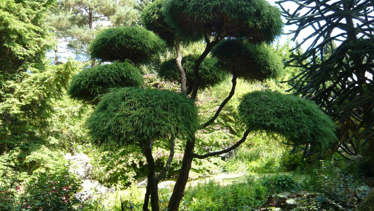 Japanskt träd pussel på nätet