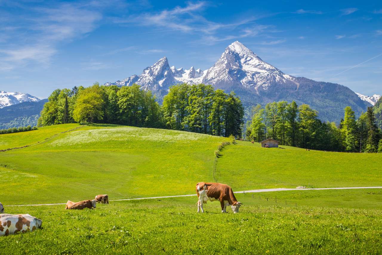 Idílico paisaje de verano en los Alpes rompecabezas en línea