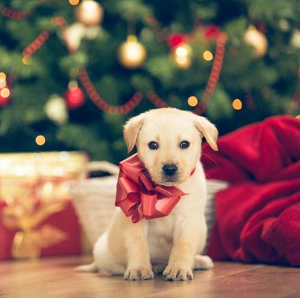 Il cucciolo di Natale puzzle online